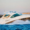 M/Y Sea Ray 515 Hard Top