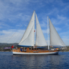 Luxury Traditional Motor Sailer (Gulet) 91 Feet