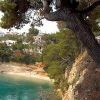 VOTSI beach in ALONISSOS
